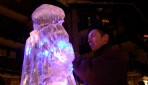 SCULPTURES DE GLACE image